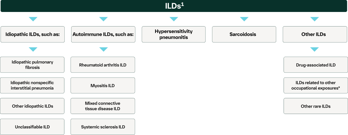 ILD lung disorders chart showing types of ILDs