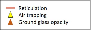 Reticulation air trapping ground glass opacity icon