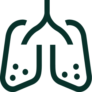 ILD lungs icon
