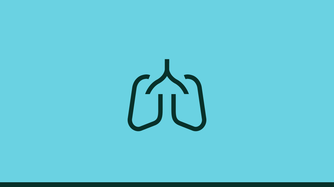 Lungs icon