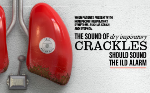 velcro crackle flashcard